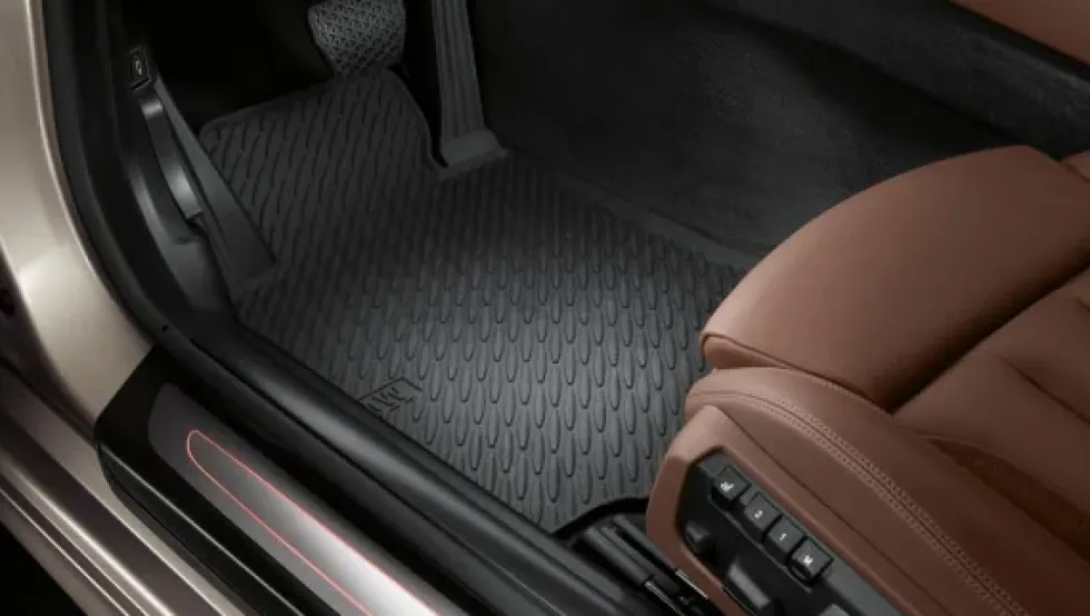 BMW Allwettermatten hinten