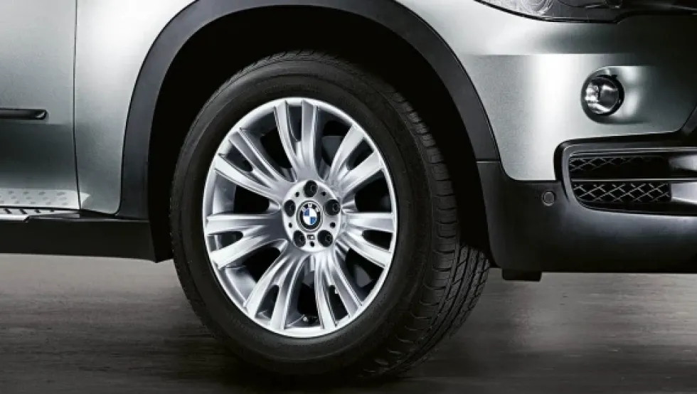 BMW Alufelge M V-Speiche 223 silber 10Jx19 ET20 X5 E70 Hinterachse