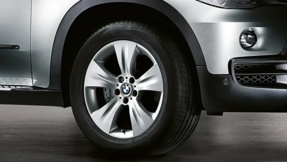 BMW Alufelge Sternspeiche 213 silber 10Jx19 ET53 X5 E70 Hinterachse
