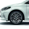 BMW Alufelge Vielspeiche 839 bicolor (jet black uni/hochglanzpoliert) 8Jx19 ET 46 2er U06