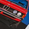 BMW Blechschild Claim
