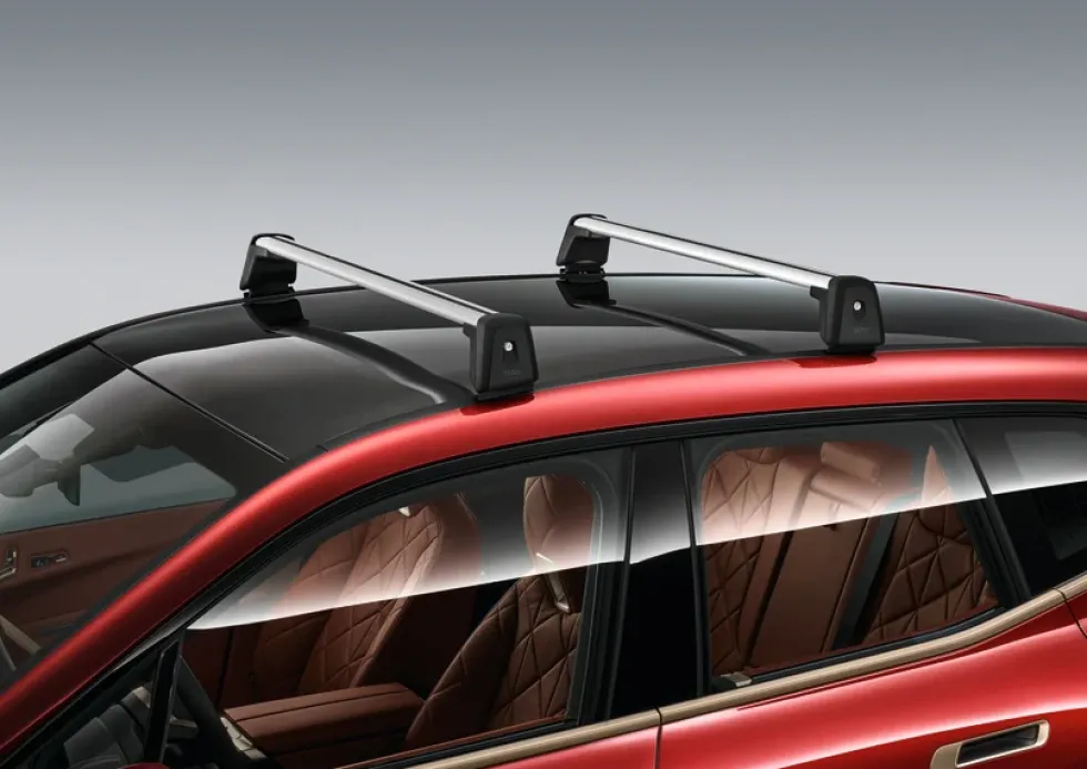 BMW Dachträger iX i20