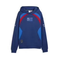 BMW M Motorsport Lifestyle Hoodie Herren blau