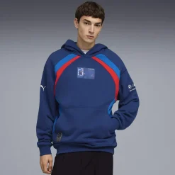 BMW M Motorsport Lifestyle Hoodie Herren blau
