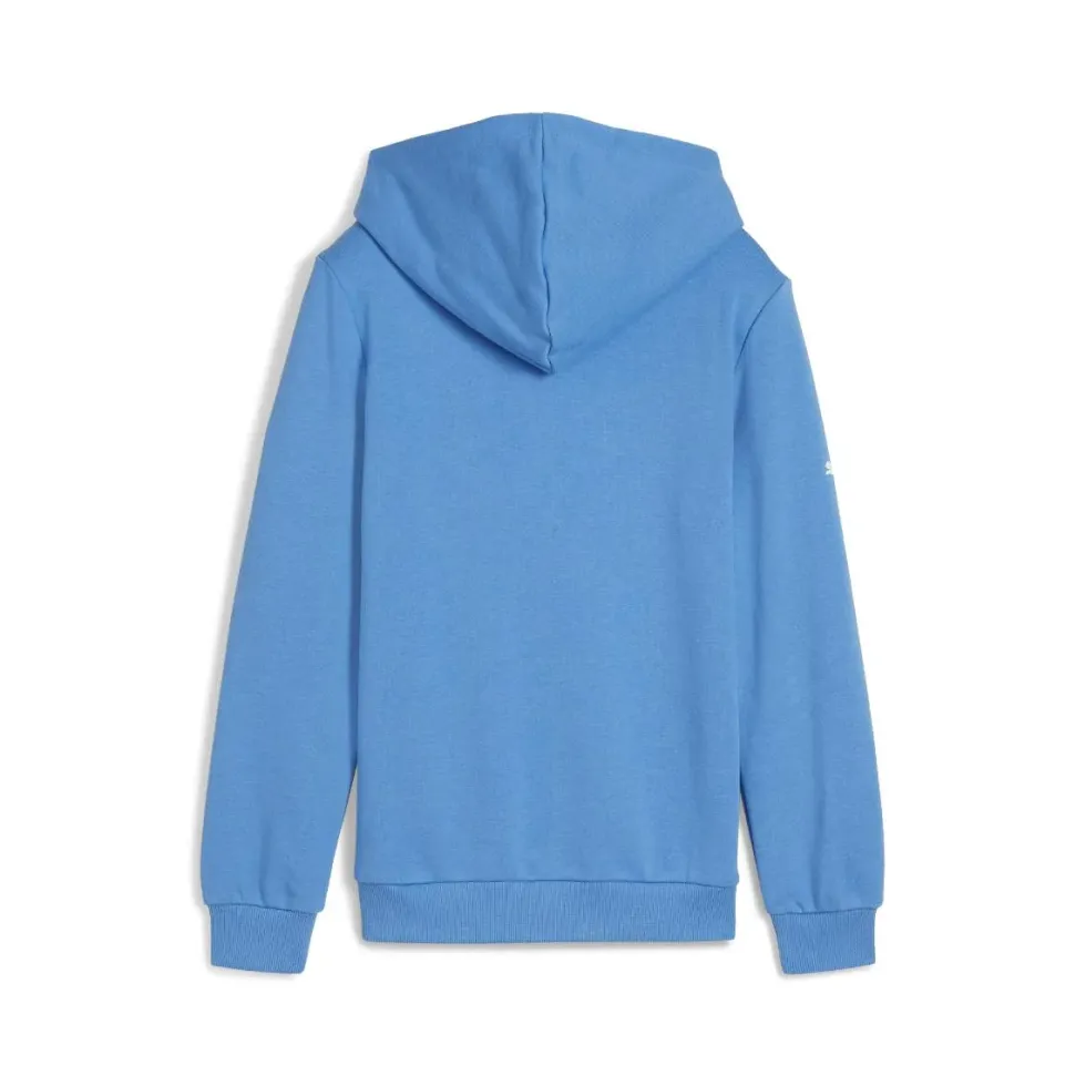 BMW M Motorsport Logo Hoodie Kids