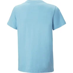 BMW M Motorsport Logo T-Shirt Herren
