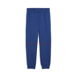 BMW M Motorsport Sportswear MT7 Trainingshose Herren blau