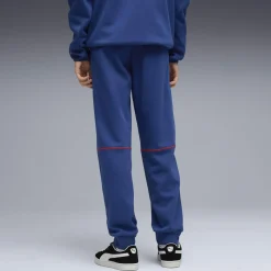 BMW M Motorsport Sportswear MT7 Trainingshose Herren blau