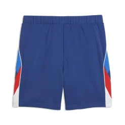 BMW M Motorsport Sportswear Sweat Shorts Herren blau