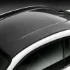 BMW M Performance Fahrzeugdach Carbon 2er M2 F87