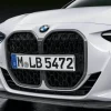 BMW M Performance Frontaufsatz Carbon 4er G22 G23