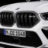 BMW M Performance Frontziergitter Carbon X5M F95