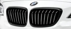 BMW M Performance Frontziergitter schwarz Z4 E89