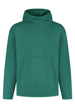 BMW M Sweathoodie Logo Reverse Unisex grün