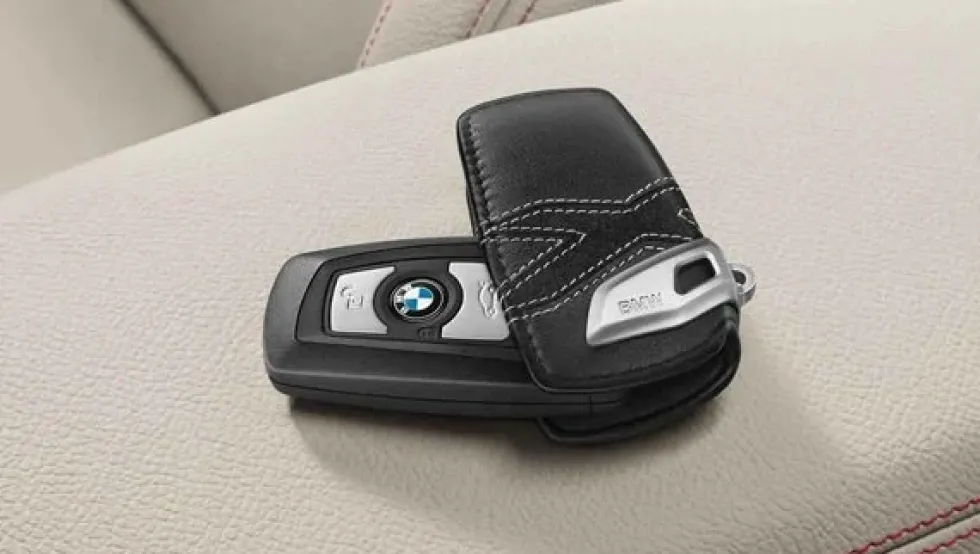 BMW Schlüsseletui Lines