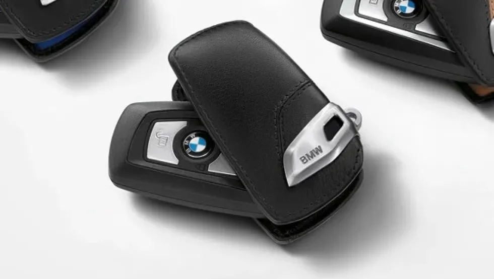 BMW Schlüsseletui Lines