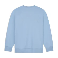 BMW Sweater ARC Unisex hellblau