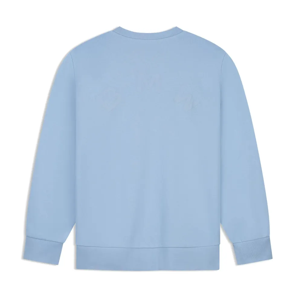 BMW Sweater ARC Unisex hellblau