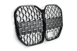 BMW Ziergitter Individual Hochglanz schwarz Shadow-Line 4er G22 G23 passend zu SA05DF