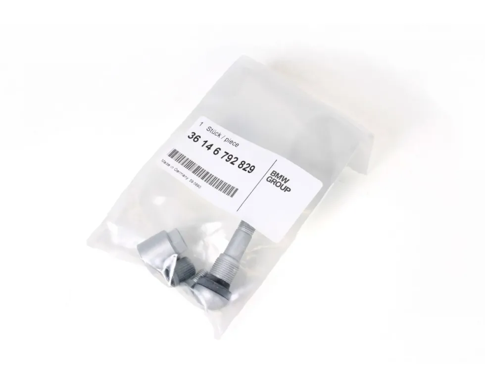 Schraubventil RDC BMW 3er E46 F31 F32 4er F82 F33 5er E39 F07 F10 F11 6er F06 F12 F13 7er E38 E65 E66 F01 F02 F04 X1 E84 X3 F25 X4 F26 X5 E53 X6 E72 Z4 E89 MINI R55 R56 R57 R58 R59 R60 R61